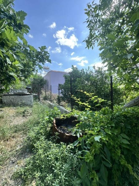 img-property