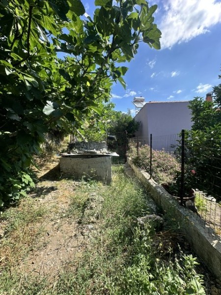img-property
