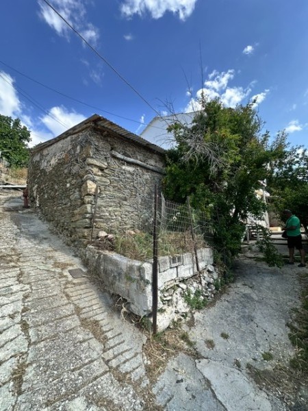 img-property