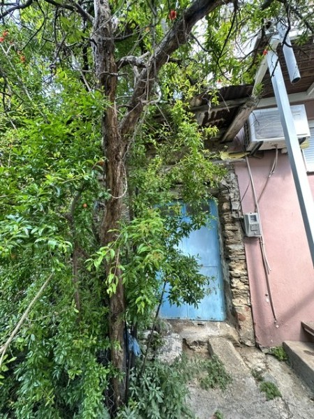 img-property