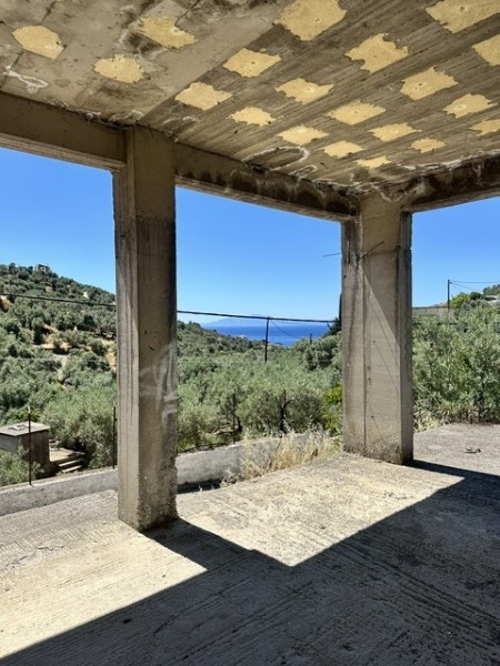 img-property
