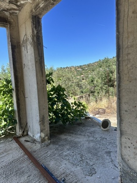img-property