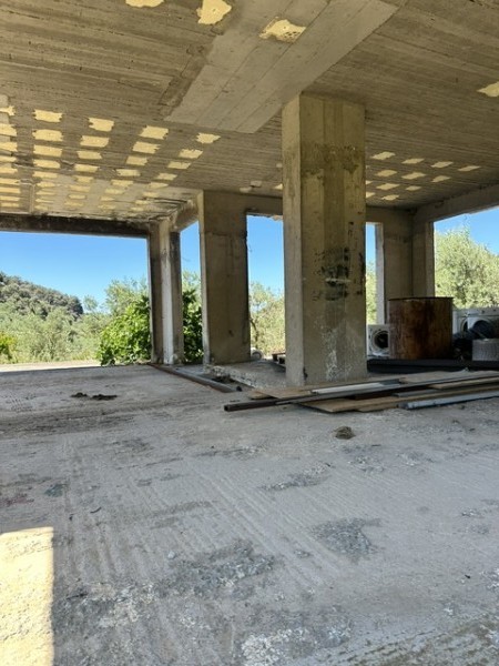 img-property