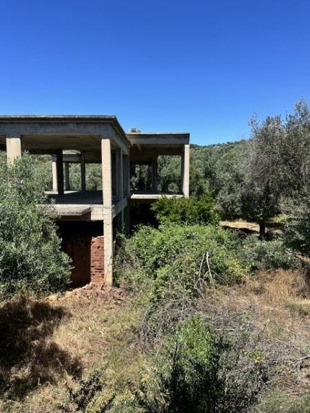 img-property