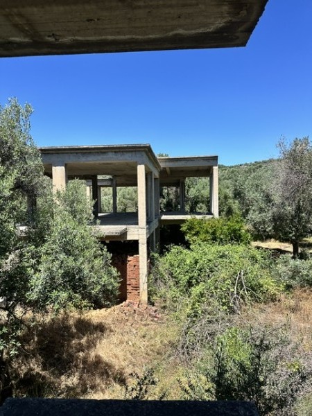 img-property