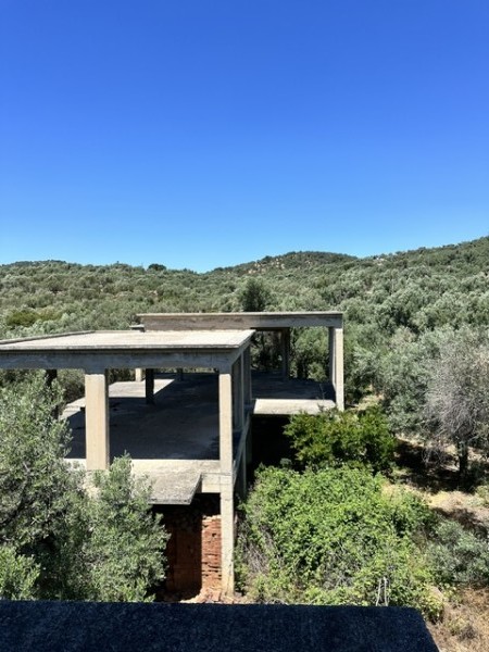 img-property