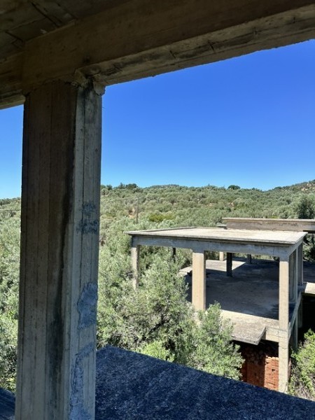 img-property
