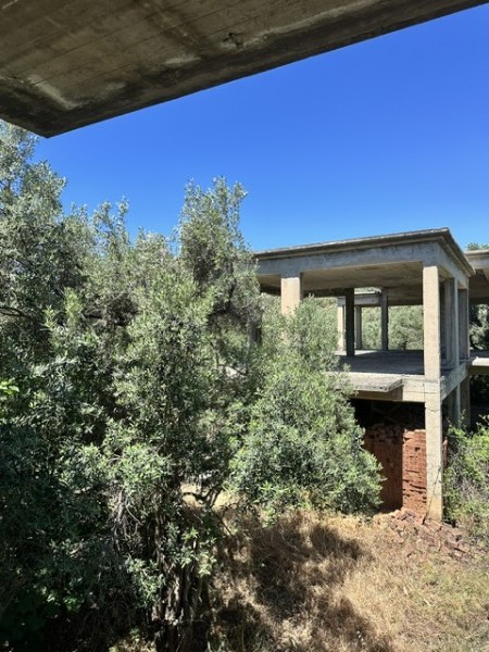 img-property