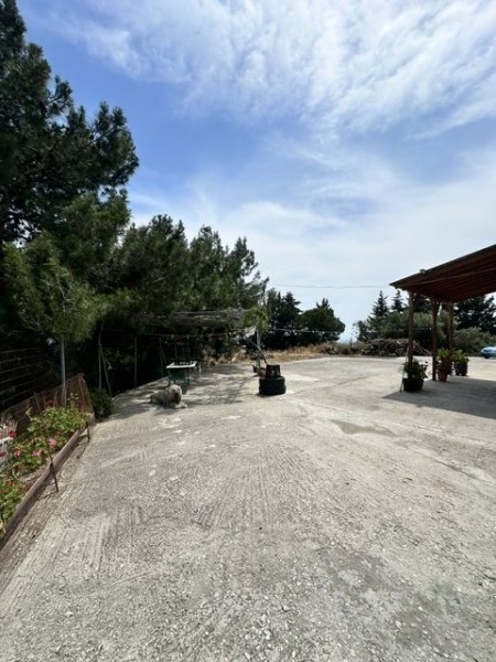img-property