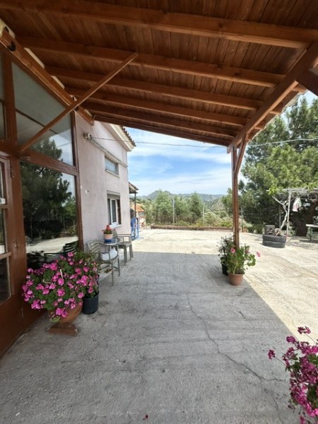 img-property