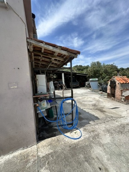 img-property