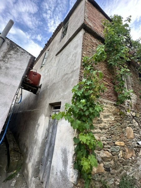 img-property