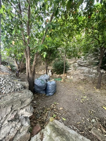 img-property