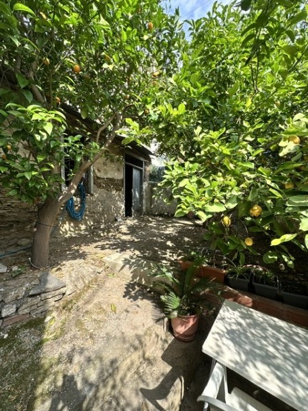 img-property