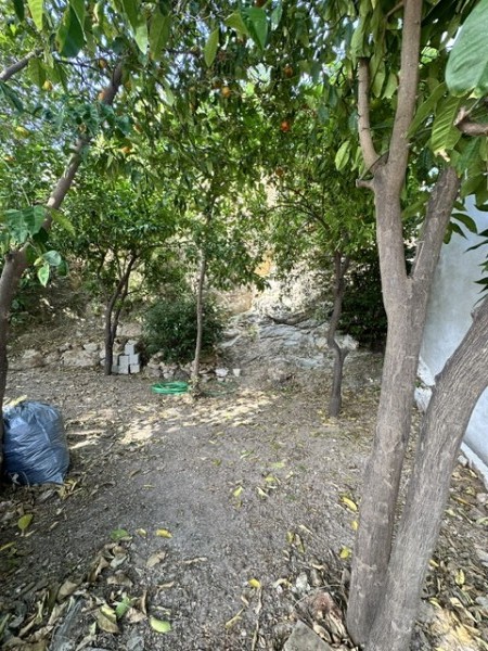 img-property