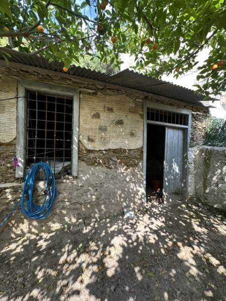 img-property