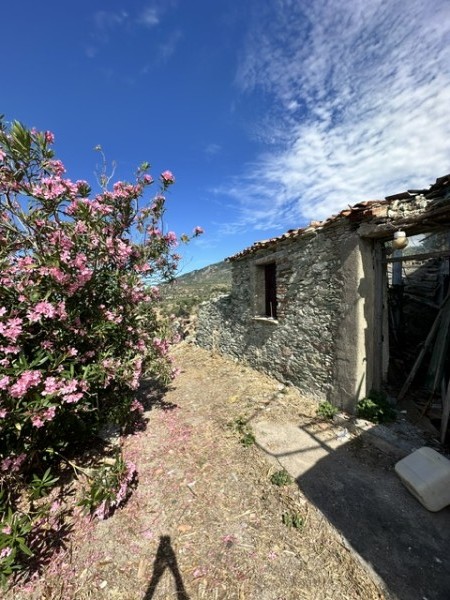 img-property