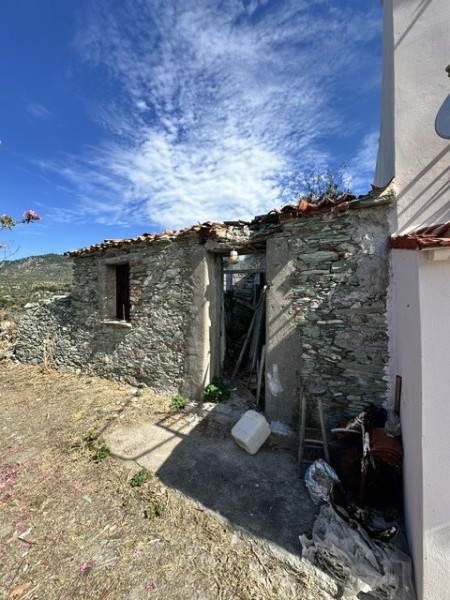 img-property