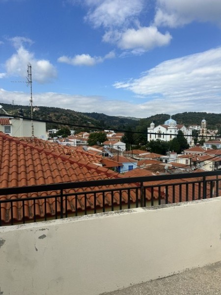 img-property