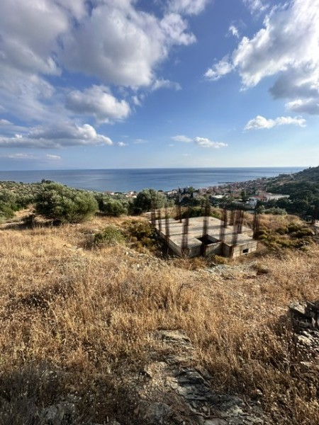 img-property