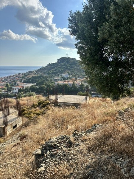 img-property