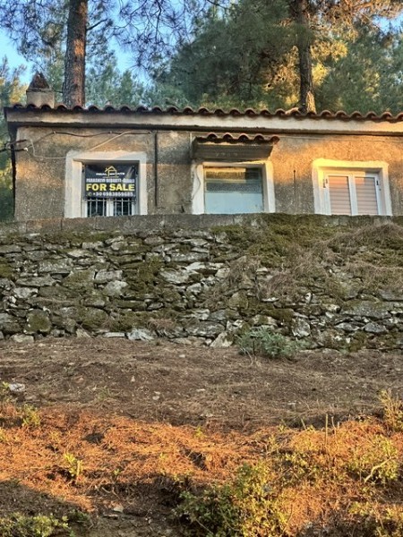 img-property
