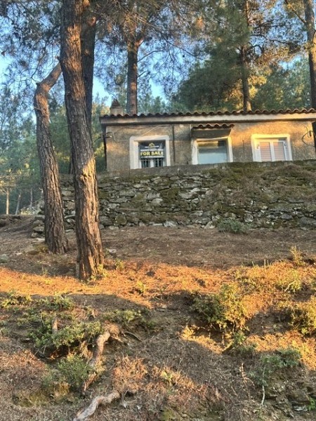 img-property