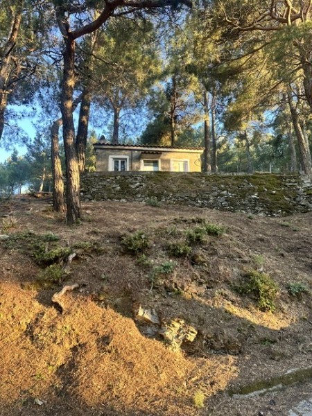 img-property