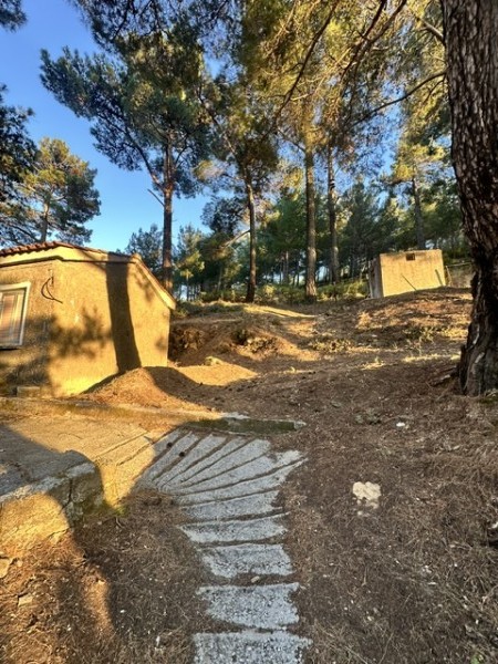 img-property