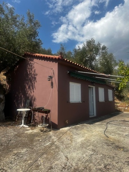 img-property