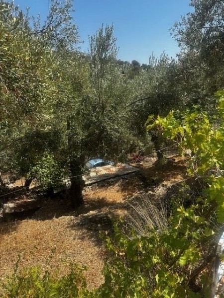 img-property