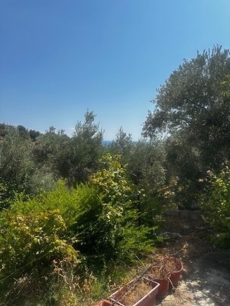 img-property