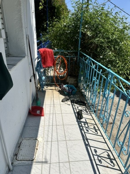 img-property
