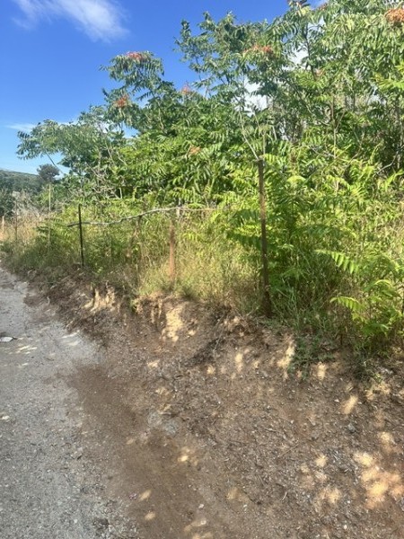 img-property