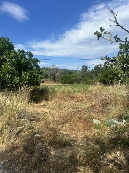 img-property