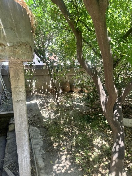 img-property