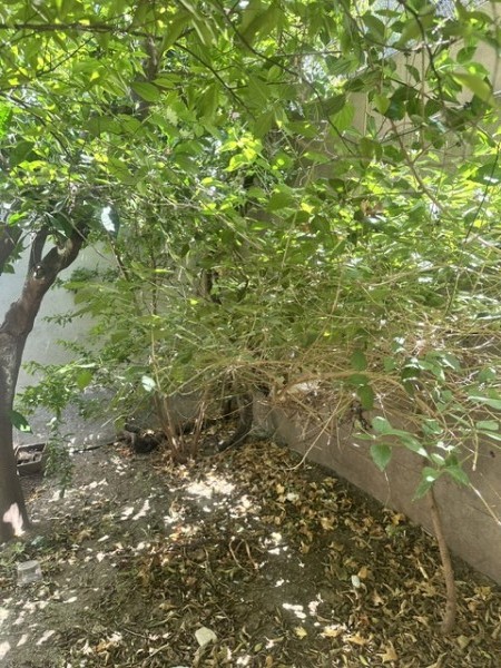 img-property