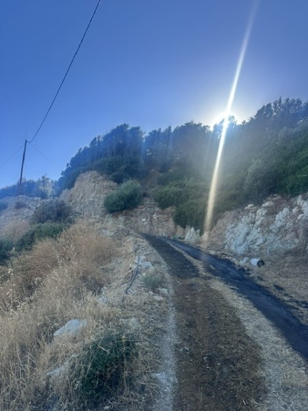 img-property