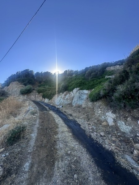img-property