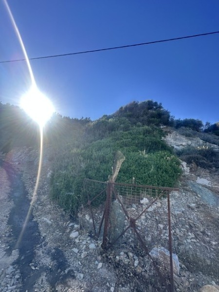 img-property