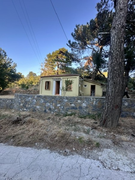 img-property