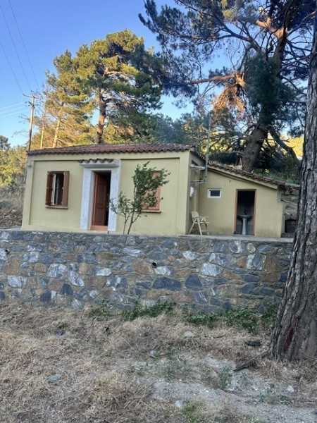 img-property
