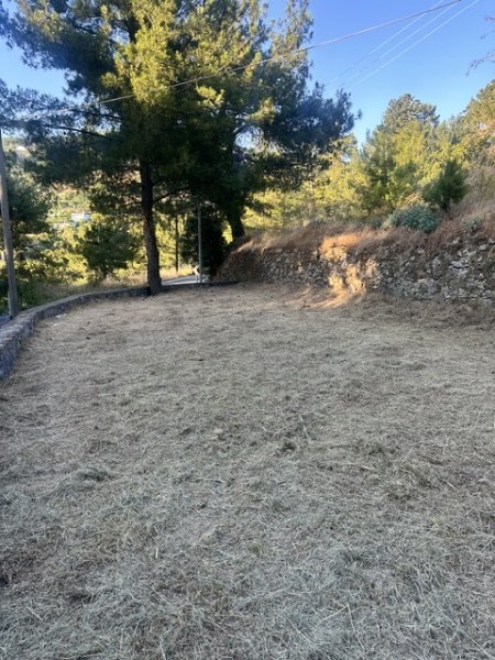 img-property