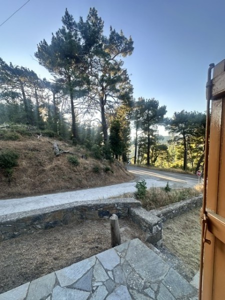 img-property