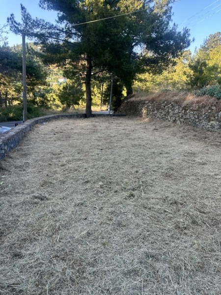 img-property