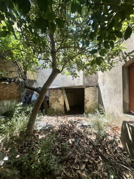 img-property
