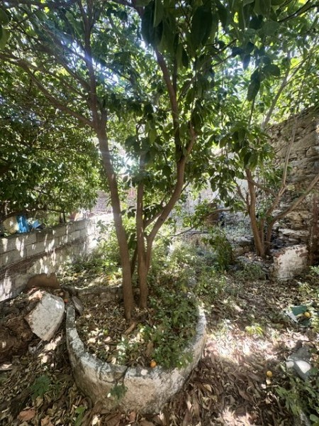 img-property