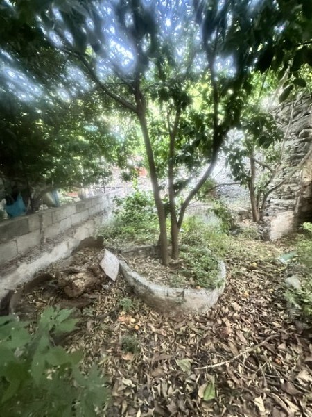 img-property