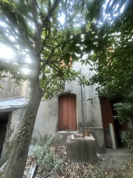 img-property