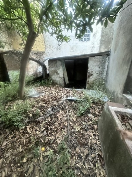 img-property